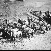 Horse-power farming machine in the Palouse in the 1920&#039;s