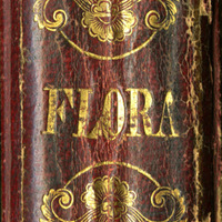 Flora&#039;s Dictionary spine