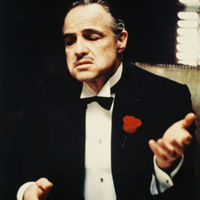 The Don or Vita Corleone (head of the mafia) capiche moment 